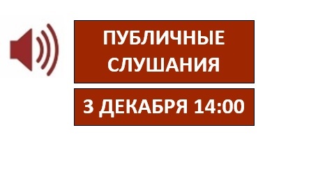 Публичные слушания по обсуждению проекта бюджета города Нижнего Новгорода на 2025-2027 годы